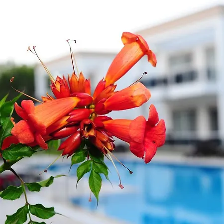 Delita Turkbuku Otel 2*