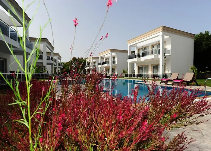 Delita Turkbuku ゴルトゥルブク